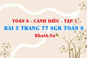 Bài 5 trang 77 SGK Toán 8 tập 1 Cánh Diều